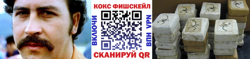 Cocaine VHQ  купить закладку  ссылка на мегу зеркало  Ревда 