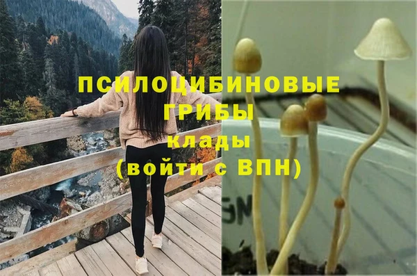 2c-b Алексин