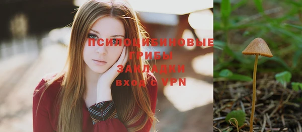 стаф Алексеевка