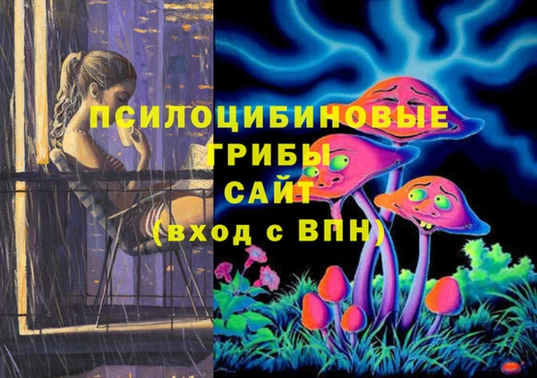 прущий лед Алзамай