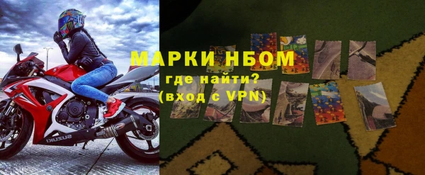 прущий лед Алзамай