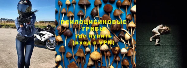 2c-b Алексин
