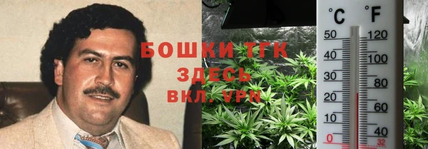 прущий лед Алзамай