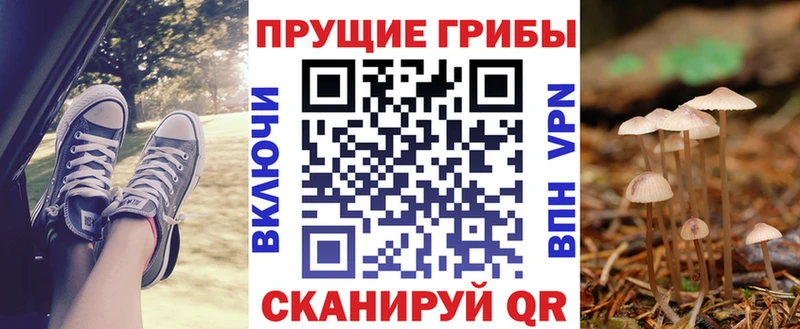 Галлюциногенные грибы GOLDEN TEACHER  Ревда 